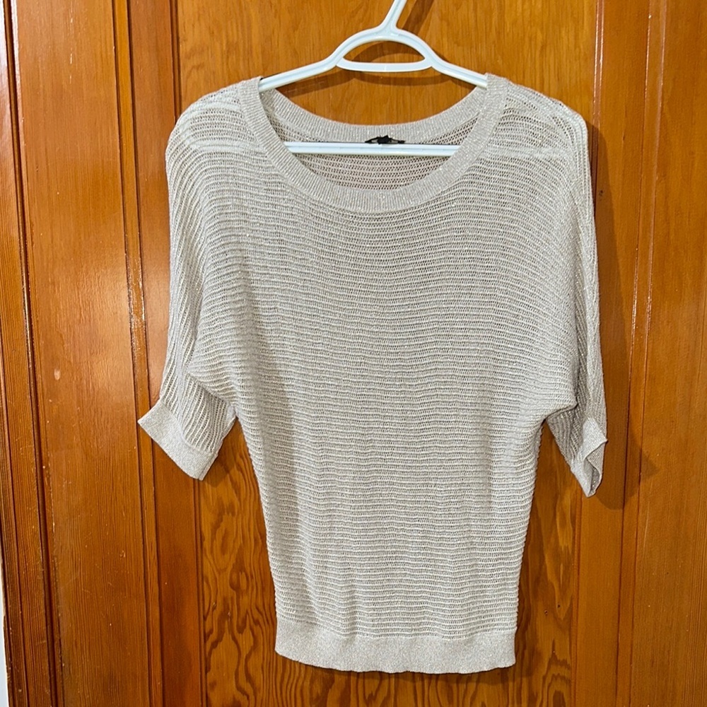 Express Light Knit sparkle Sweater sz small